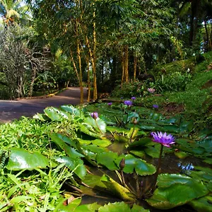 Hanthana Boutique By Amaya Villa Kandy